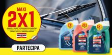 Maxi 2×1 Arexons: ricevi il rimborso di un lavavetri inverno o protettivo radiatori su 2
